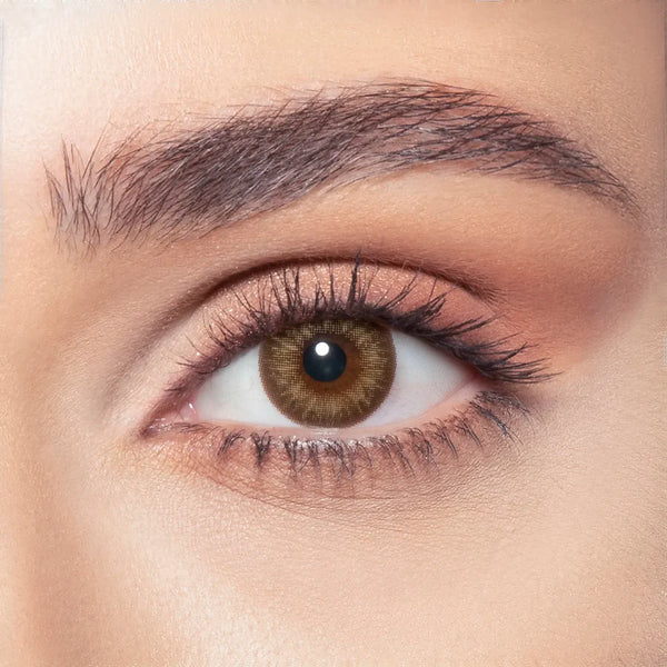 Bella One Day Almond Brown Plano