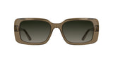 Calvin Klein CK26508S Sunglasses in Transparent Brown - front view