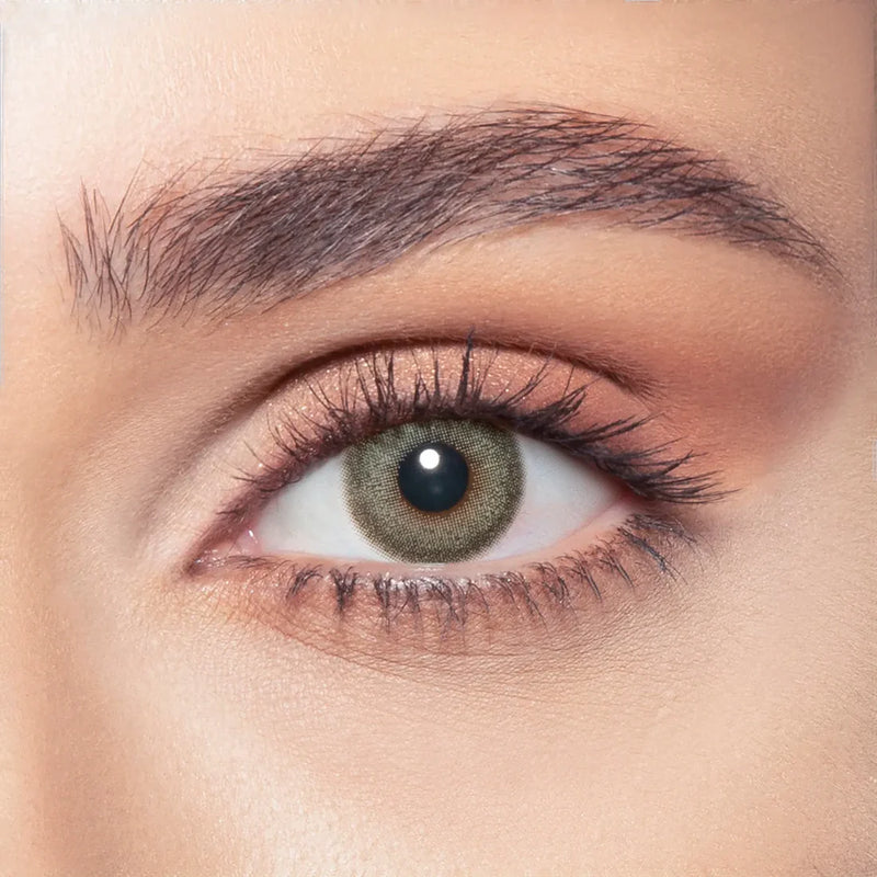 Bella One Day Pine Plano