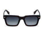 Police SPLQ88M Sunglasses in Shiny Dark Havana - front view