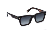 Police SPLQ88M Sunglasses in Shiny Dark Havana - 3/4 view, other side