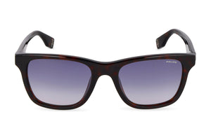 Police SPLU68M Sunglasses in Shiny Dark Havana - front view